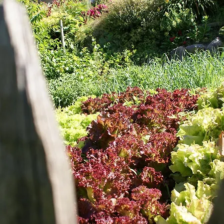 Marini's Giardino 4* Dorf Tirol